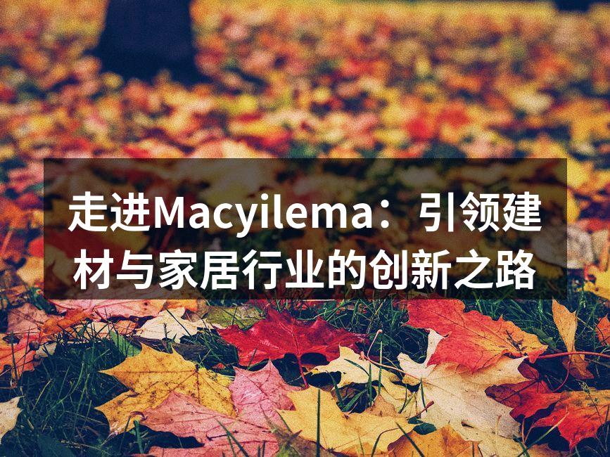 Macyilema的新产品展示