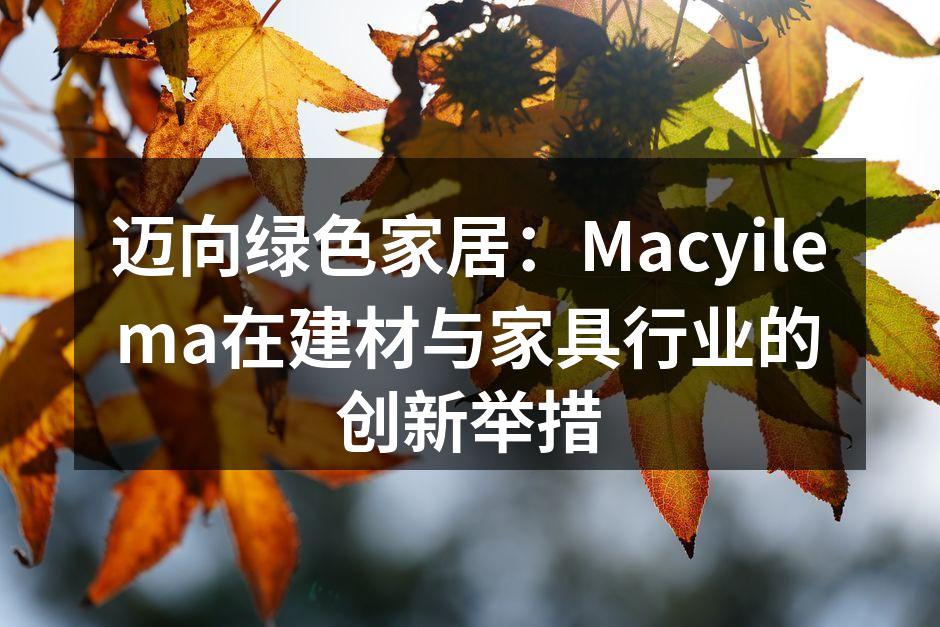 迈向绿色家居:Macyilema在建材与家具行业的创新举措